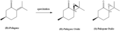 Thumbnail for version as of 15:30, 6 December 2013