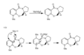 Thumbnail for version as of 00:03, 24 November 2010