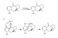 Thumbnail for version as of 00:10, 24 November 2010