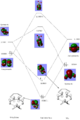 Thumbnail for version as of 11:45, 12 June 2017
