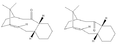 Thumbnail for version as of 18:54, 27 November 2013