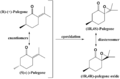 Thumbnail for version as of 17:16, 5 December 2013