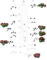 Thumbnail for version as of 13:42, 6 December 2011