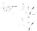 Thumbnail for version as of 12:13, 24 November 2008