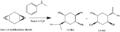Thumbnail for version as of 20:18, 27 February 2010