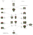 Thumbnail for version as of 21:15, 22 March 2012