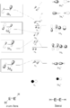 Thumbnail for version as of 20:56, 11 March 2012