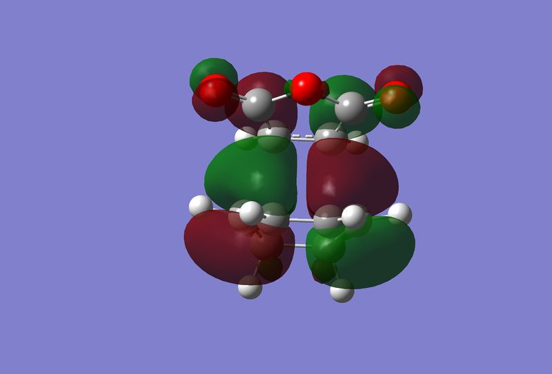 File:Ms DA endo HOMO.jpg