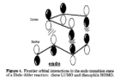 Thumbnail for version as of 00:08, 16 December 2010