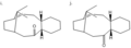 Thumbnail for version as of 20:03, 23 November 2010