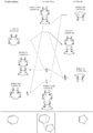 Thumbnail for version as of 19:25, 12 February 2018