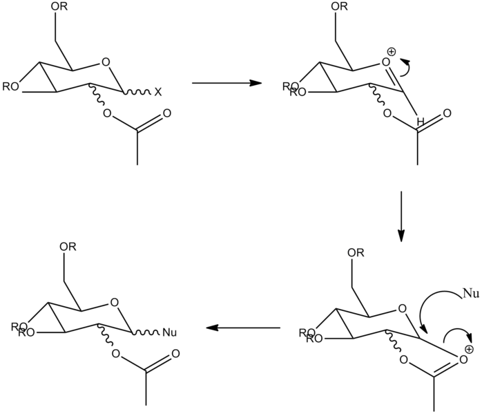 File:Overallmonosaccscheme.png