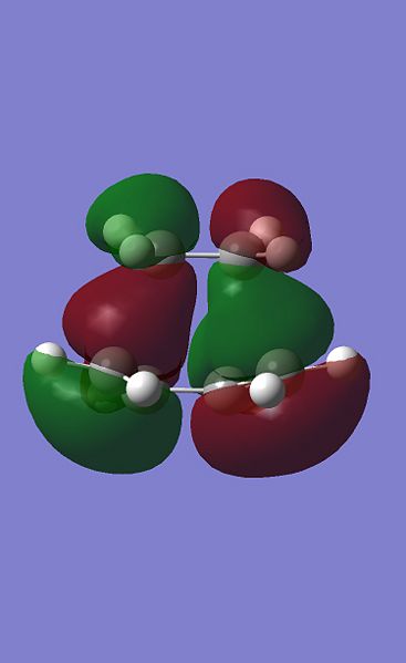 File:YL TS HOMO.jpg