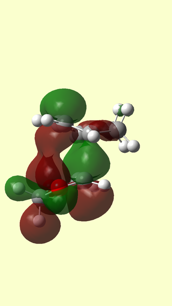 File:ENDO HOMO 41.png