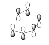 HOMO-1