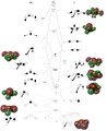 Thumbnail for version as of 14:48, 6 December 2011
