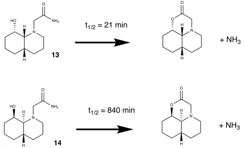 File:Tiffanypeptide.jpg