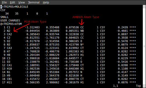 File for getting AMBER parameters