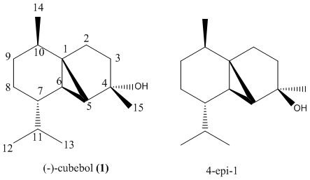 File:MsCubebol.bmp