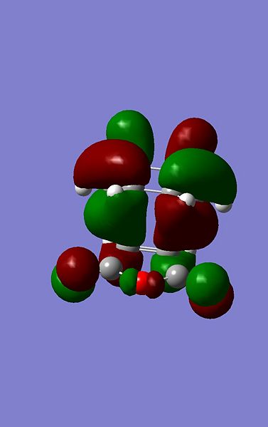 File:Endo homo 18th.jpg