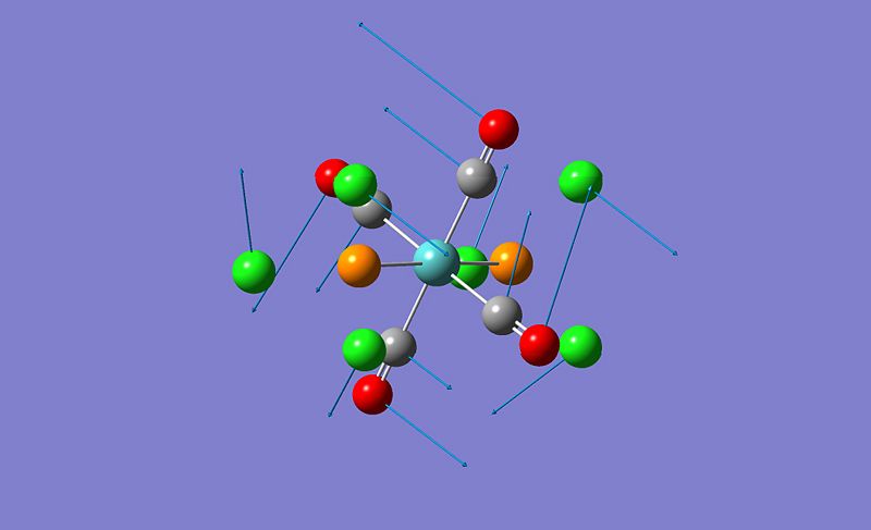 File:GingerNinjaTransVibration1.jpg