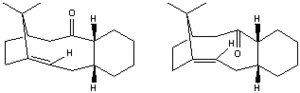 text