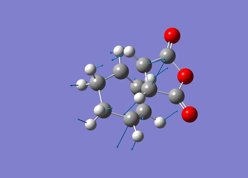 File:Endo ts vib sp.jpeg