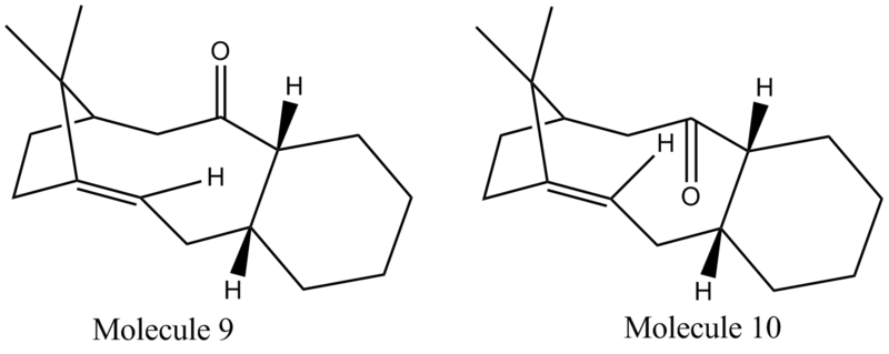 File:Taxolrepresentation.png