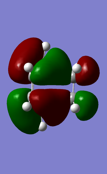 File:Ts homo ckaye.png