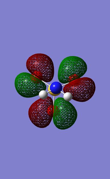 File:Anion homosp.jpeg