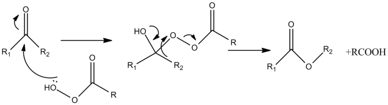 File:GENERALMECHANISM.png