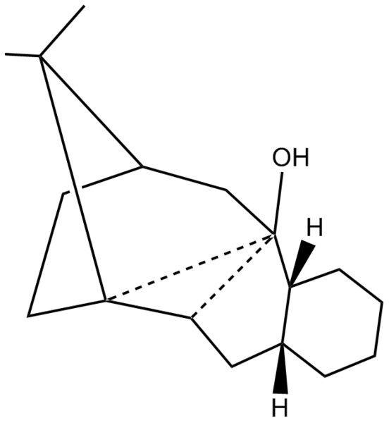 File:Homochirality.png