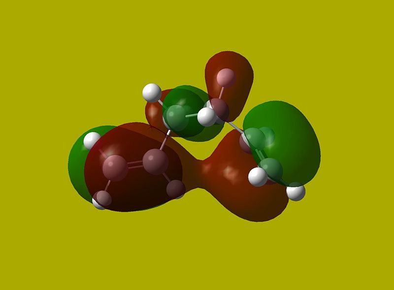 File:Homo gauche2.jpg