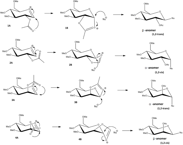 File:Glycosidation anomers 1.png