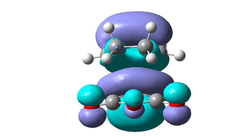 File:Jhb exo homo neg 1.jpg