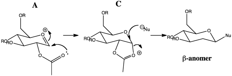 File:Beta-anomer.png
