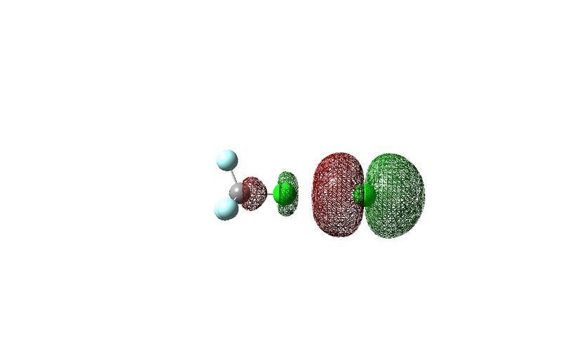 File:Cl-homo2.jpg