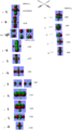 Thumbnail for version as of 13:55, 1 November 2011
