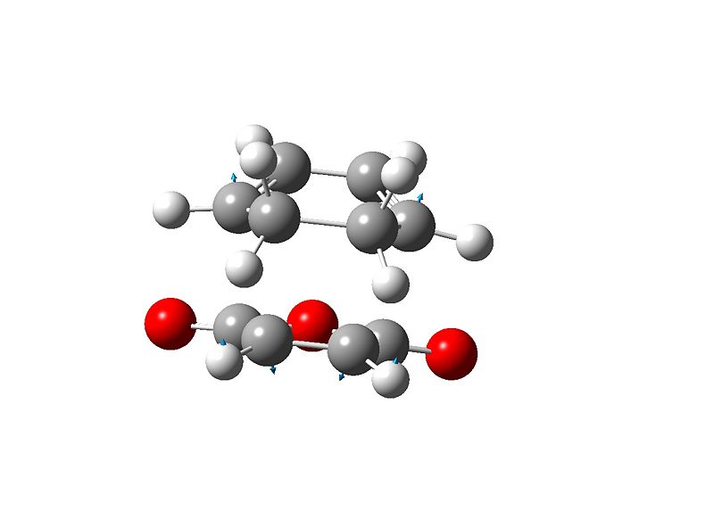 File:Malcyc endo vib.jpg