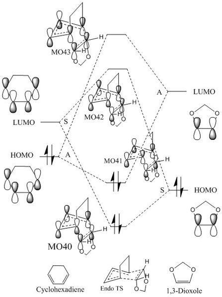 File:Endomo diagram(em2015).jpg