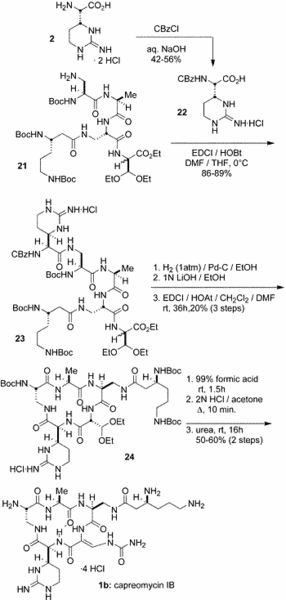 File:Capreomycin7.gif