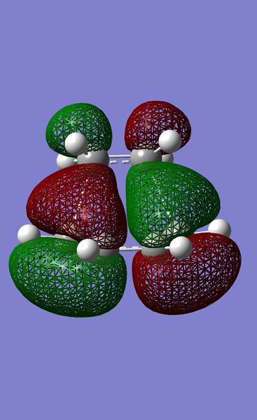File:TS homo sp.jpeg