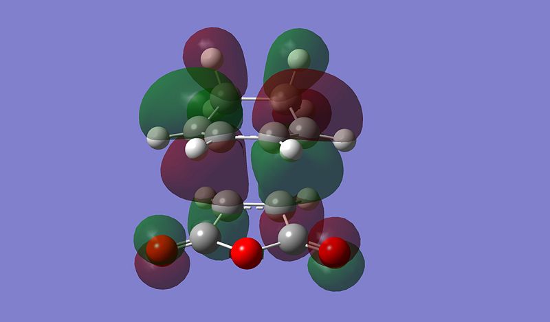 File:ENDO HOMO2.jpg