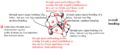 Thumbnail for version as of 22:38, 23 May 2019