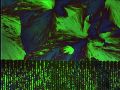 Thumbnail for version as of 19:04, 7 December 2009