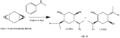 Thumbnail for version as of 20:40, 27 February 2010