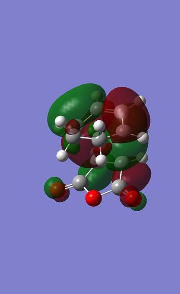 File:ExoHOMO.jpg