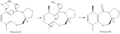Thumbnail for version as of 16:24, 3 March 2011