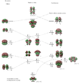 Thumbnail for version as of 16:24, 23 March 2012