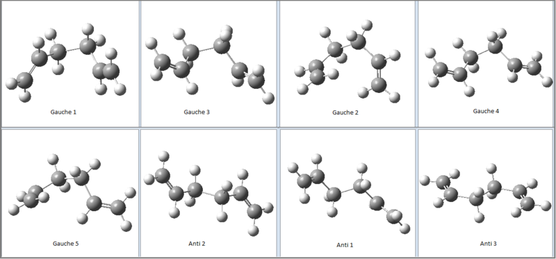 Snap shots of all analysed conformers